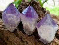 Polished Jacaranda Amethyst Single Crystals x 12 From Mumbwa, Zambia