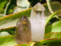 Polished Wispy Smokey Phantom Quartz Crystals x 6 From Madagascar