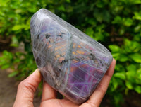 Polished Rare Purple Sunset Flash Labradorite Standing Free Form x 3 From Tulear, Madagascar