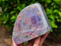 Polished Rare Purple Sunset Flash Labradorite Standing Free Form x 3 From Tulear, Madagascar
