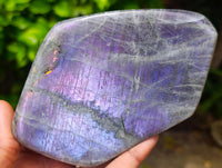 Polished Rare Purple Sunset Flash Labradorite Standing Free Form x 3 From Tulear, Madagascar