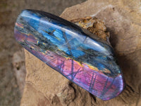 Polished Rare Purple Sunset Flash Labradorite Standing Free Form x 3 From Tulear, Madagascar