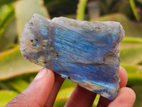 Polished On One Side Labradorite x 24 From Tulear, Madagascar