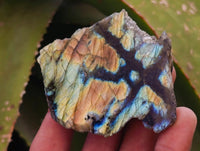 Polished On One Side Labradorite x 24 From Tulear, Madagascar
