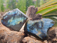 Polished On One Side Labradorite x 24 From Tulear, Madagascar