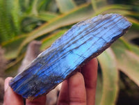 Polished On One Side Labradorite x 24 From Tulear, Madagascar