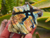 Polished On One Side Labradorite x 24 From Tulear, Madagascar