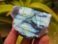 Polished On One Side Labradorite x 24 From Tulear, Madagascar