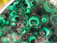Polished Flower Banded Malachite Free Forms x 6 From Congo