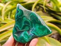 Polished Flower Banded Malachite Free Forms x 6 From Congo