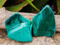 Polished Flower Banded Malachite Free Forms x 6 From Congo