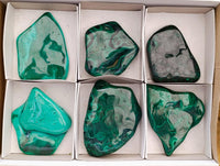 Polished Flower Banded Malachite Free Forms x 6 From Congo