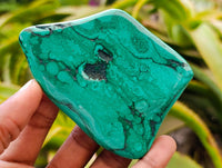 Polished Flower Banded Malachite Free Forms x 6 From Congo