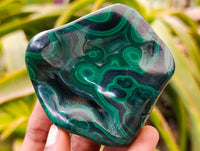 Polished Flower Banded Malachite Free Forms x 6 From Congo