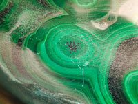 Polished Flower Banded Malachite Free Forms x 6 From Congo