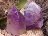 Polished Window Amethyst Crystals x 20 From Akansobe, Madagascar