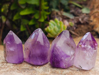 Polished Window Amethyst Crystals x 20 From Akansobe, Madagascar