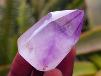 Polished Window Amethyst Crystals x 20 From Akansobe, Madagascar