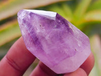 Polished Window Amethyst Crystals x 20 From Akansobe, Madagascar