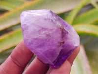 Polished Window Amethyst Crystals x 20 From Akansobe, Madagascar