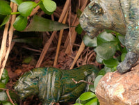 Hand Made Verdite Lioness Carvings x 2 From Zimbabwe