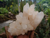 Natural Clear Quartz Crystal Clusters x 2 From Madagascar