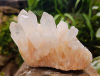 Natural Clear Quartz Crystal Clusters x 2 From Madagascar
