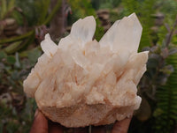 Natural Clear Quartz Crystal Clusters x 2 From Madagascar