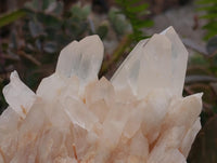 Natural Clear Quartz Crystal Clusters x 2 From Madagascar