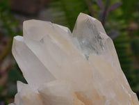 Natural Clear Quartz Crystal Clusters x 2 From Madagascar