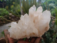 Natural Clear Quartz Crystal Clusters x 2 From Madagascar
