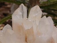 Natural Clear Quartz Crystal Clusters x 2 From Madagascar