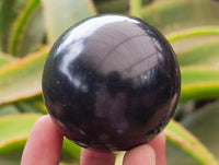 Polished Black Basalt Spheres x 12 From Madagascar