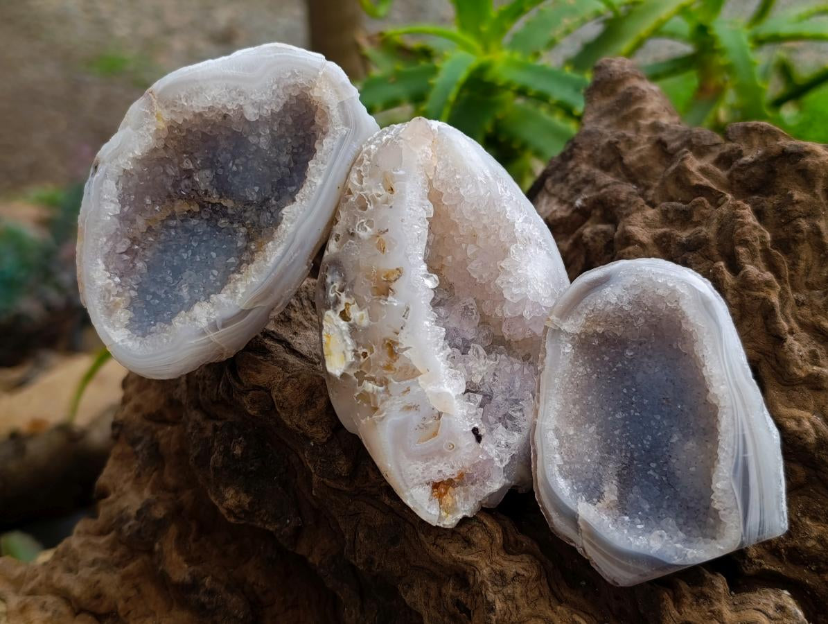 Polished Mini Agate Geodes x 12 From Maintirano, Madagascar