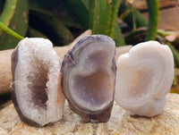 Polished Mini Agate Geodes x 12 From Maintirano, Madagascar