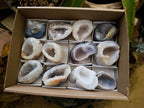 Polished Mini Agate Geodes x 12 From Maintirano, Madagascar