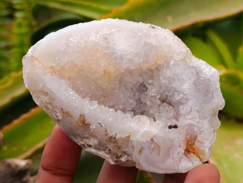 Polished Mini Agate Geodes x 12 From Maintirano, Madagascar