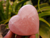 Polished Gemmy Rose Quartz Hearts x 6 From Madagascar