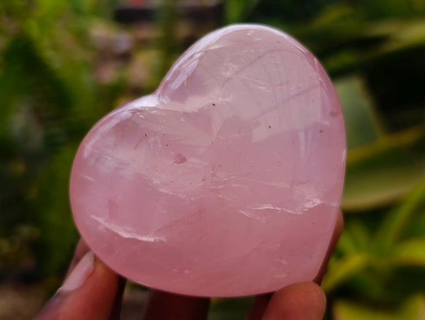 Polished Gemmy Rose Quartz Hearts x 6 From Madagascar