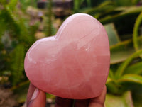 Polished Gemmy Rose Quartz Hearts x 6 From Madagascar