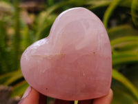 Polished Gemmy Rose Quartz Hearts x 6 From Madagascar
