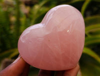 Polished Gemmy Rose Quartz Hearts x 6 From Madagascar