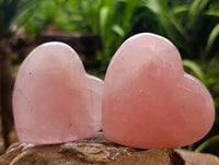 Polished Gemmy Rose Quartz Hearts x 6 From Madagascar