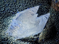 Polished Septerye Sauvage "Dragons Egg" Standing Free Forms x 2 From Mahajanga, Madagascar