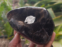 Polished Septerye Sauvage "Dragons Egg" Standing Free Forms x 2 From Mahajanga, Madagascar