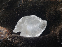 Polished Septerye Sauvage "Dragons Egg" Standing Free Forms x 2 From Mahajanga, Madagascar