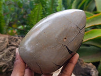 Polished Septerye Sauvage "Dragons Egg" Standing Free Forms x 2 From Mahajanga, Madagascar