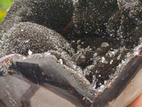 Polished Septerye Sauvage "Dragons Egg" Standing Free Forms x 2 From Mahajanga, Madagascar