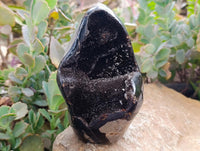 Polished Septerye Sauvage "Dragons Egg" Standing Free Forms x 2 From Mahajanga, Madagascar