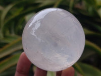 Polished Girasol Pearl Quartz Crystal Spheres x 5 From Ambatondrazaka, Madagascar